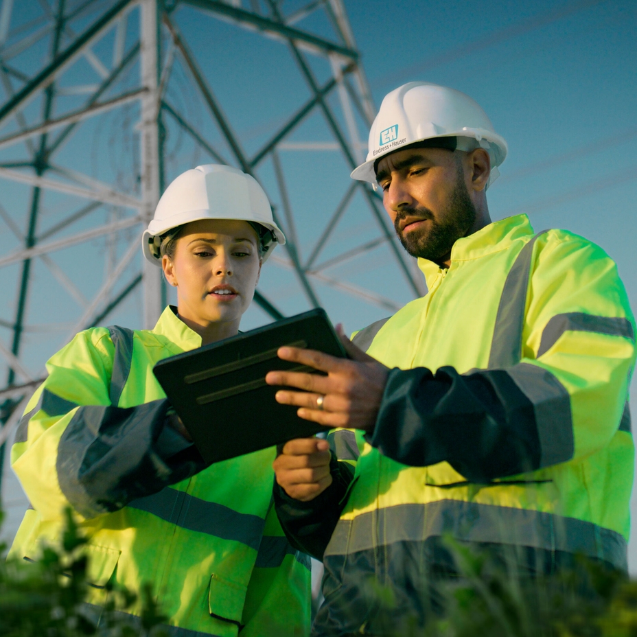 Experts for sustainability initiatives in front of electricity pylon